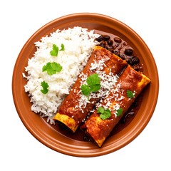 Traditional Mexican Bean Enchiladas with Red Sauce