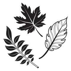 Obraz premium Four stylized leaves graphic design