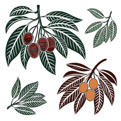 Fruit and leaves graphic illustration