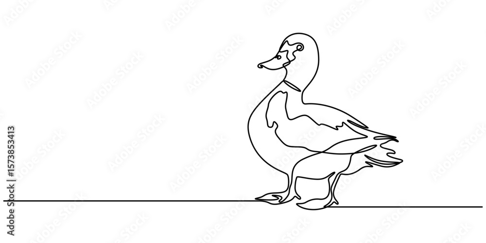 Poster domestic goose continuous one line drawing,duck in continuous line art drawing style. abstract duck 