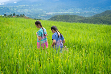 Group of pretty teenage travellers wearing custom-made Karen dresses in a natural green terraced rice fields at Pa Bong Piang rice fields, Mae Chaem, Doi Inthanon, Chiang Mai, Thailand.