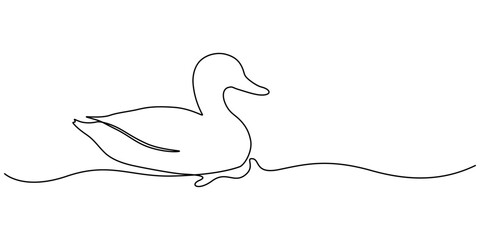 Domestic goose continuous one line drawing,Duck in continuous line art drawing style. Abstract duck walking minimalist, Duck continuous line art isolated on white background vector illustration, baby.