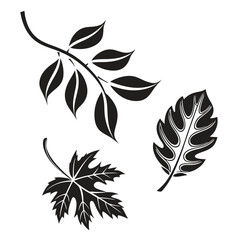 Leaf branch silhouette design element