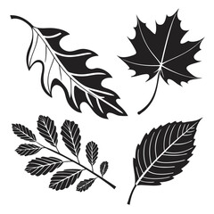 Leaf silhouettes graphic design