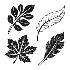 Leaf variety black and white botanical illustration set of graphic flora