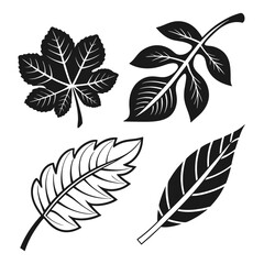 Leaf silhouettes graphic design