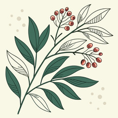 Line art plant branch with berries