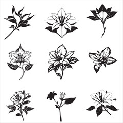 Obraz premium set of black silhouettes of flame azalea bundle pack collection 
