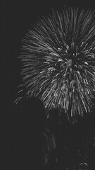 Obraz premium Watching Canada Day Fireworks