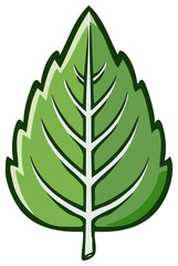 Single green leaf illustration, organic symbol, natural ecology, simple graphic, foliage vein pattern
