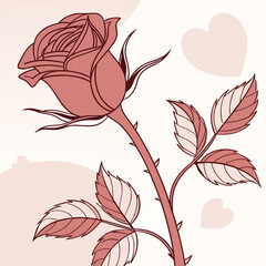 vector illustration of a rose