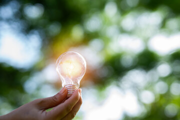 light bulb against nature, icons