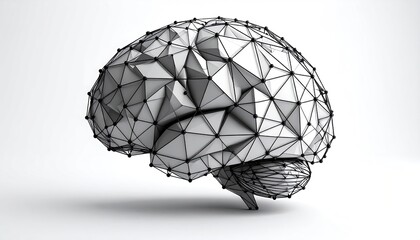 3D model of a brain