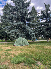A green tent sits alone on a grassy patch, surrounded by tall, lush pine trees under a cloudy sky. The scene conveys a sense of solitude and nature.