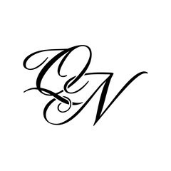 Elegant QN Monogram Logo Design, perfect for luxury branding, boutique identity, or personal logo designs.