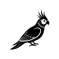 Fototapeta premium Cockatiel Clipart Vector Illustration