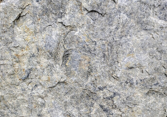 grey mountain stone texture abstract background, backdrop wallpaper
