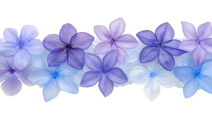 A horizontal arrangement of delicate,  shade-varying flowers.