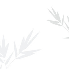 Delicate Bamboo Leaf Shadows on White Background - Minimalist Nature Overlay for Tranquil Designs