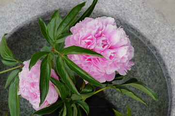 庭の花飾り