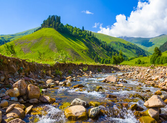 small river rushing through the green mountain valley at the bright summer day