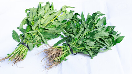 Fresh water spinach on a white background.