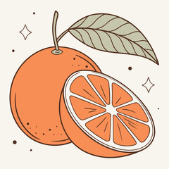 vector illustration of an orange fruit