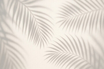 shadow overlay effects,realistic palm leaf shadow on transparent background,Natural shadow of tropical palm branch,mockup of shadow for product presentation, backdrop,Summer sunlight and shadow overla