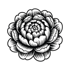 Elegant Black and White Flower Illustration with Intricate Petal Details