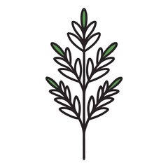 milfoil line art vector on-white-background