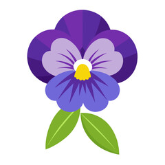 pansy flower  vector illustration on white background