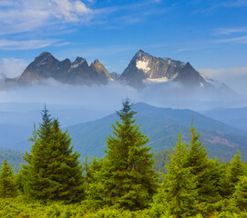 green mountain valley with fir tree forest on mount slope
