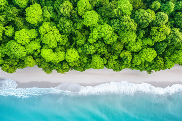aerial view of a tropical island