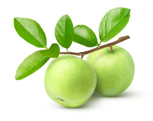 green apple isolated on white