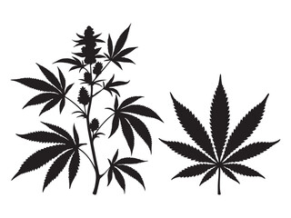 Silhouette cannabis tree and leaf vector illustration on white background