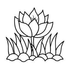 Blooming lotus flower with grass blossom petals