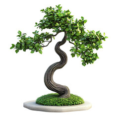 Bonsai Tree Artistry: A captivating depiction of a meticulously crafted bonsai tree. The tree's elegant trunk gracefully ascends, adorned with lush green leaves that exude tranquility.