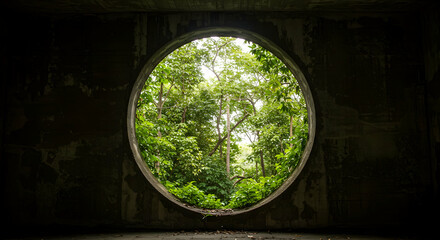Circular Window Green Lush Forest Nature Scenery Tranquil Peaceful Serene Escape Relaxing View Calm Environment Outdoors