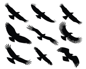 Obraz premium Silhouette illustrations of nine soaring eagles depicting flight in a monochrome artistic composition.