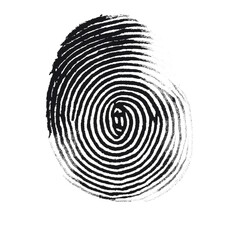 A closeup of a black fingerprint pattern with swirling lines, isolated on a transparent background