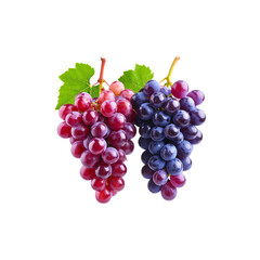 Fototapeta premium Bright red and green grapes bunch on white background