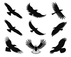 Obraz premium Set of nine silhouette eagle illustrations depicting soaring flight and various poses on a white background.