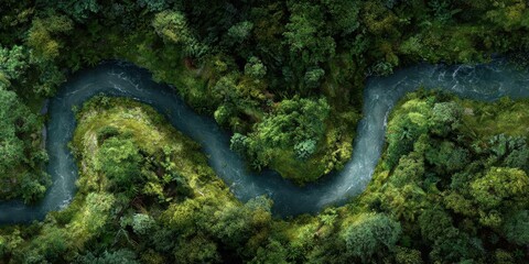 Aerial view of river winding through lush, green forest; environmental theme