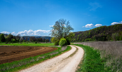Idyllic landscape in the Shtuttertal valey