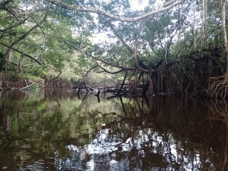 reflection in the water