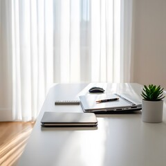 Modern workspace with laptop and plant mouse ruler
