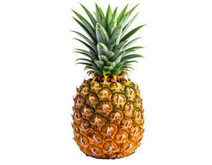 Fototapeta premium Whole Fresh Pineapple with Green Crown, angled Side View, isolated on white background PNG