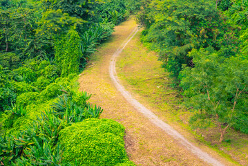 A bird's eye view of a path made in the forest" for life goals is about cultivating visionary leadership over your own life.