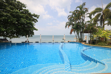 palm trees in a southern resort, background image for design
