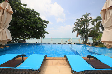 palm trees in a southern resort, background image for design